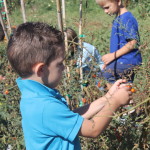 articolo16_3