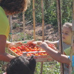 articolo16_5
