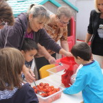 articolo16_7