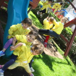 articolo17_2