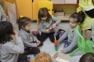 articolo24_2
